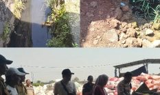 berita-pilihan-foto